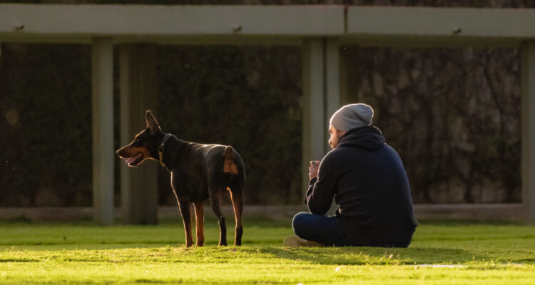 Foto de un perro y su dueño en un parque para ilustrar nota sobre los parásitos zoonóticos.