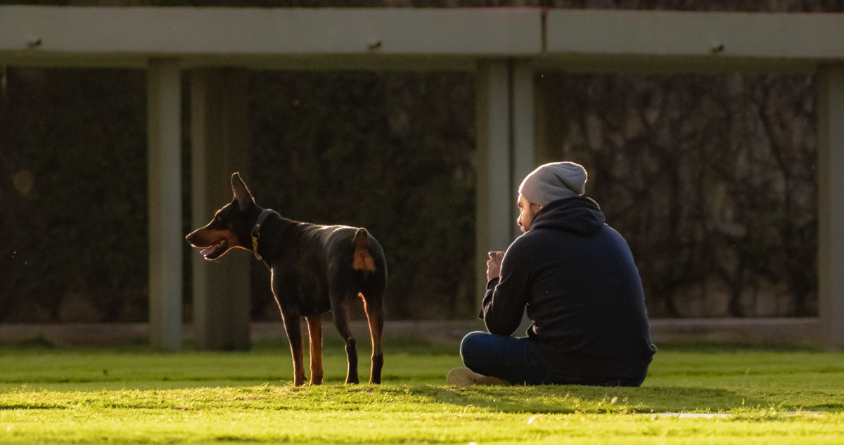 Foto de un perro y su dueño en un parque para ilustrar nota sobre los parásitos zoonóticos.