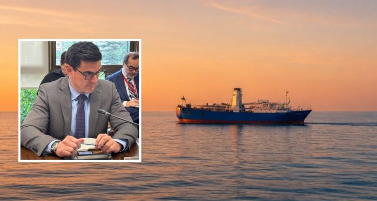 Subsecretario de Pesca niega presencia de buques chinos en zona económica exclusiva de Chile