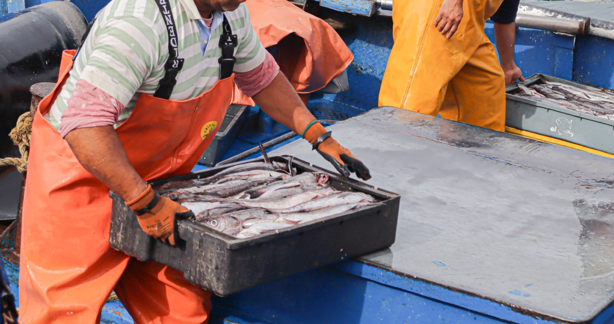 Pescadores artesanales en Bío Bío registro