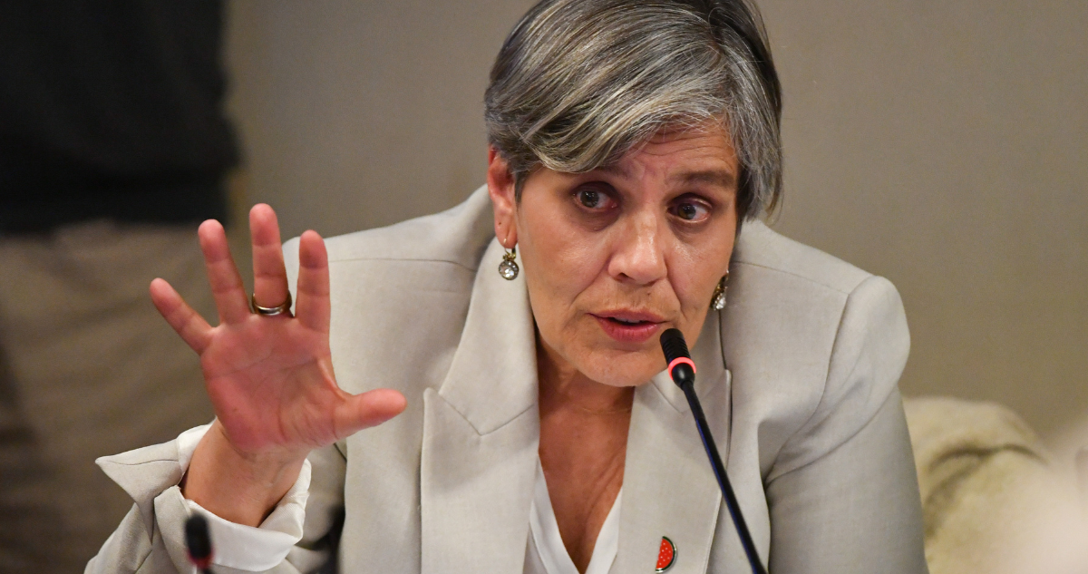 Presidida por Lorena Fries: Comisión por niños extranjeros comienza y alista sus primeras citaciones