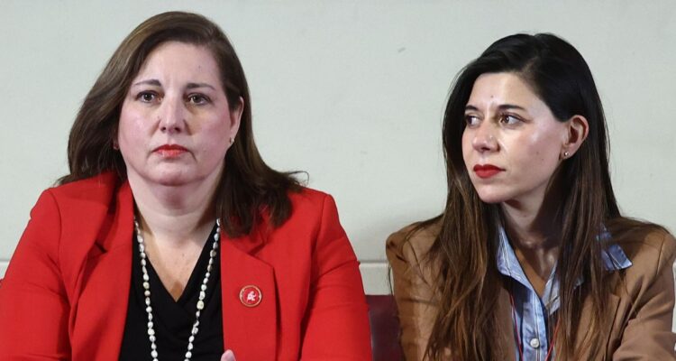 Vodanovic responde a Cicardini, acusa daño al PS y escala tensión por la megarreforma