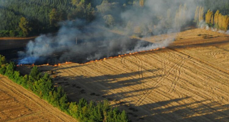 Conaf suspende quemas agrícolas y forestales en tres regiones ante alerta por vientos fuertes