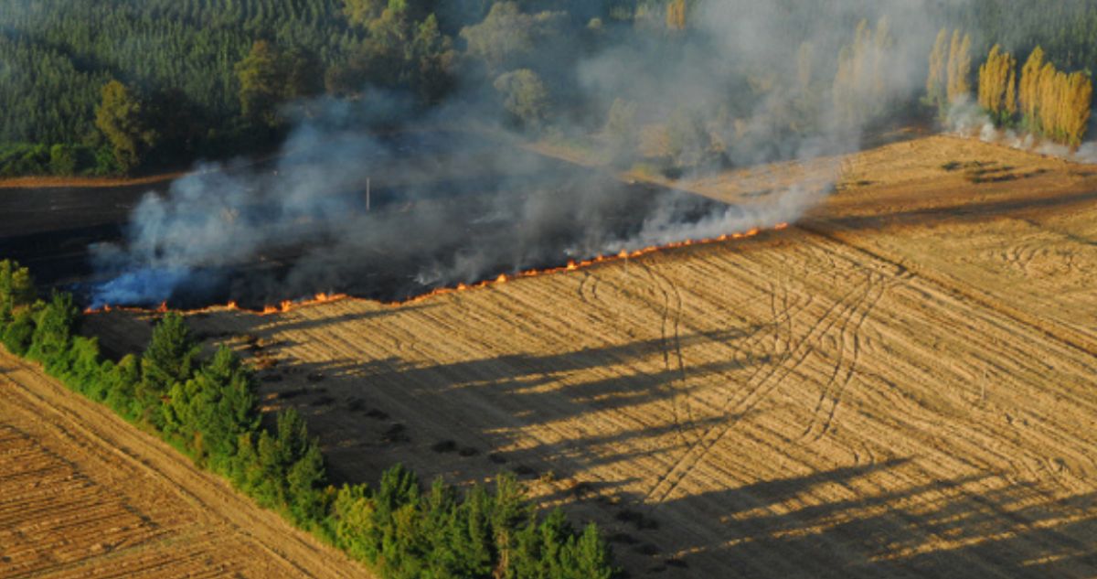 Conaf suspende quemas agrícolas y forestales en tres regiones ante alerta por vientos fuertes