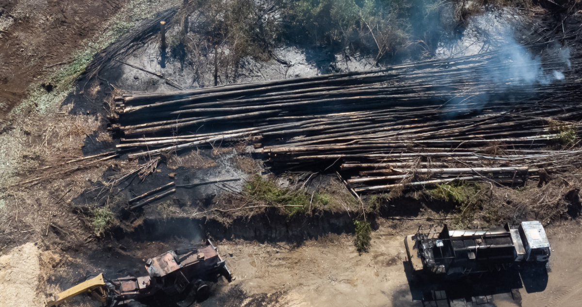Foto de archivo de ataque incendiario a forestal.