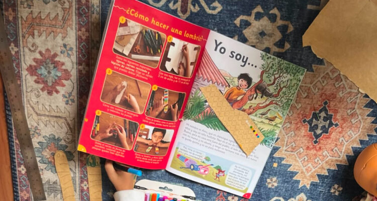 https://media.biobiochile.cl/wp-content/uploads/2026/07/revista-guarisapo-750x400.jpg