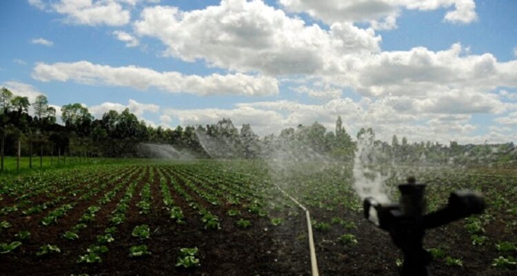 https://media.biobiochile.cl/wp-content/uploads/2026/07/riego-agua-ministro-campos-750x400.jpg