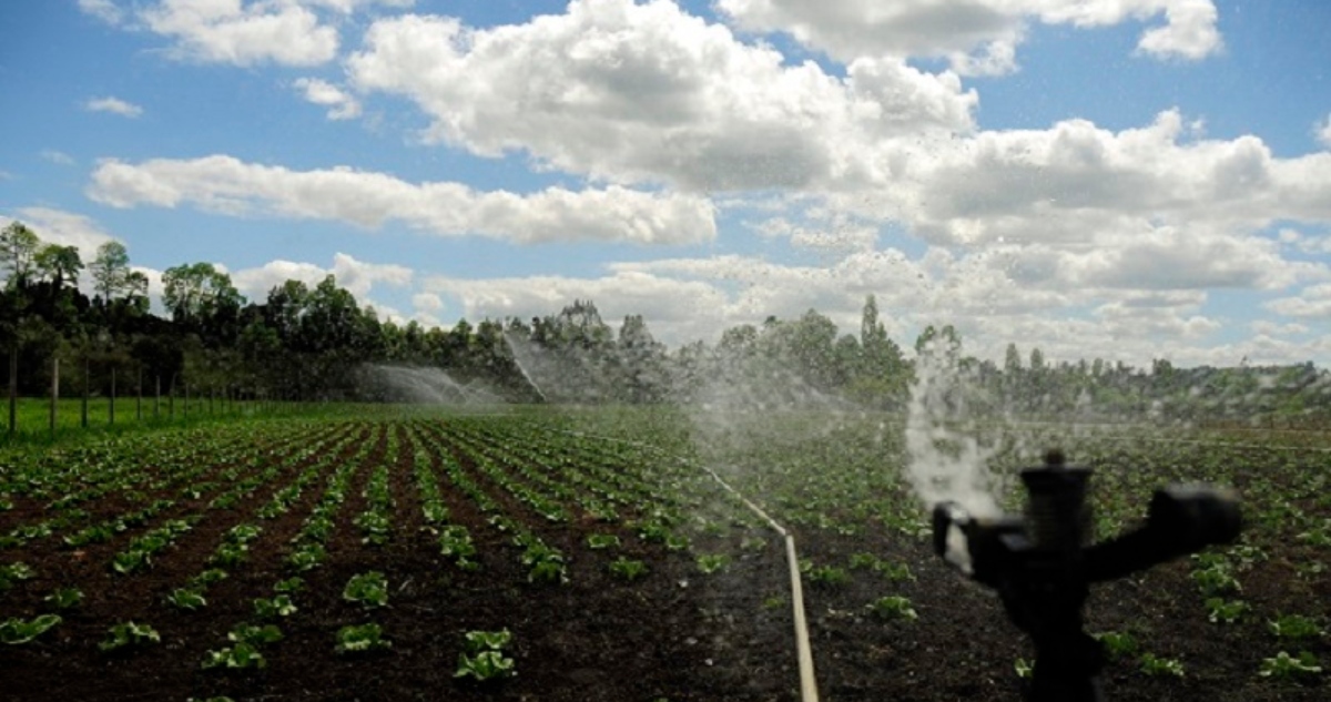 Riego de agua por dichos de ministro Campos