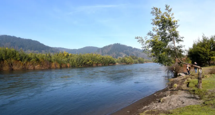 Organización denuncia daño ambiental en río Cautín: acusan inacción de Municipalidad de Temuco
