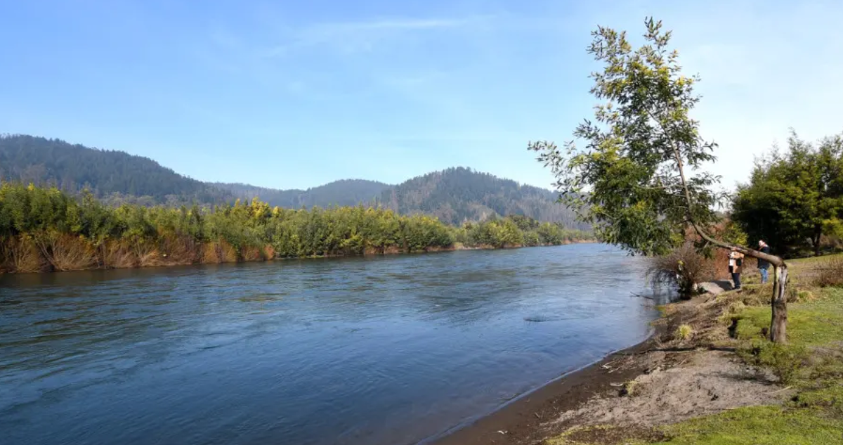 Organización denuncia daño ambiental en río Cautín: acusan inacción de Municipalidad de Temuco