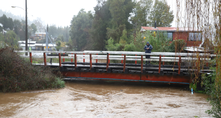 Decretan Alerta Roja para Arauco por desborde: Río Pichilo registró aumento de caudal