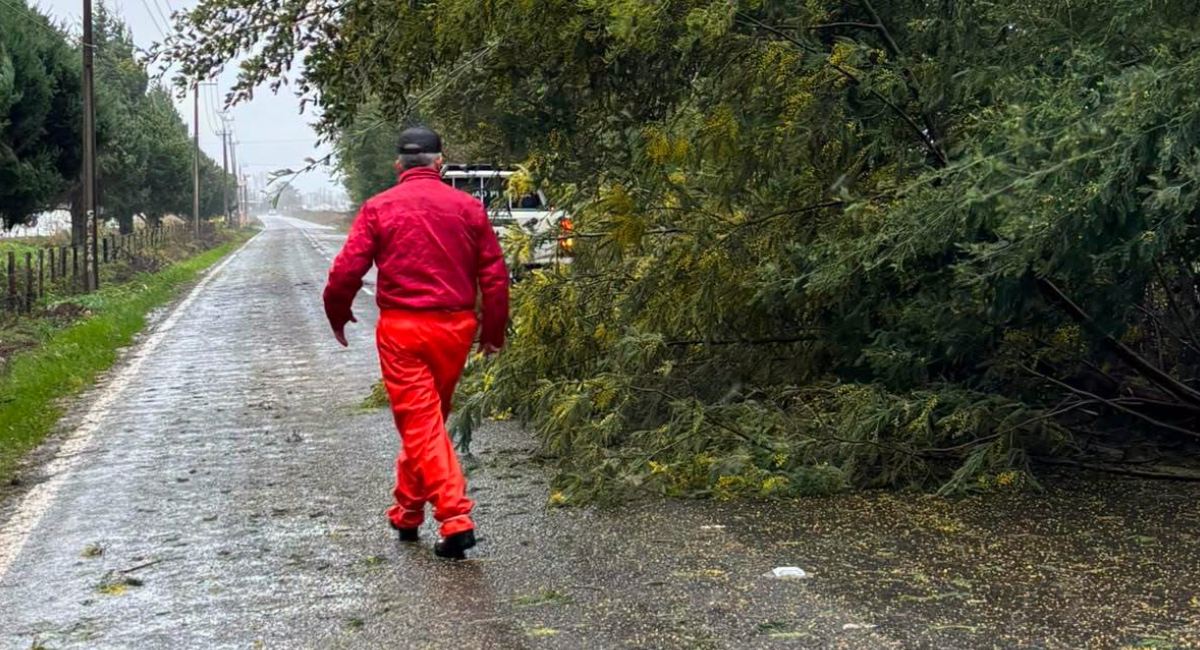 Alcalde de Santa Bárbara destroza a Vialidad, empresas eléctricas y telefónicas tras sistema frontal
