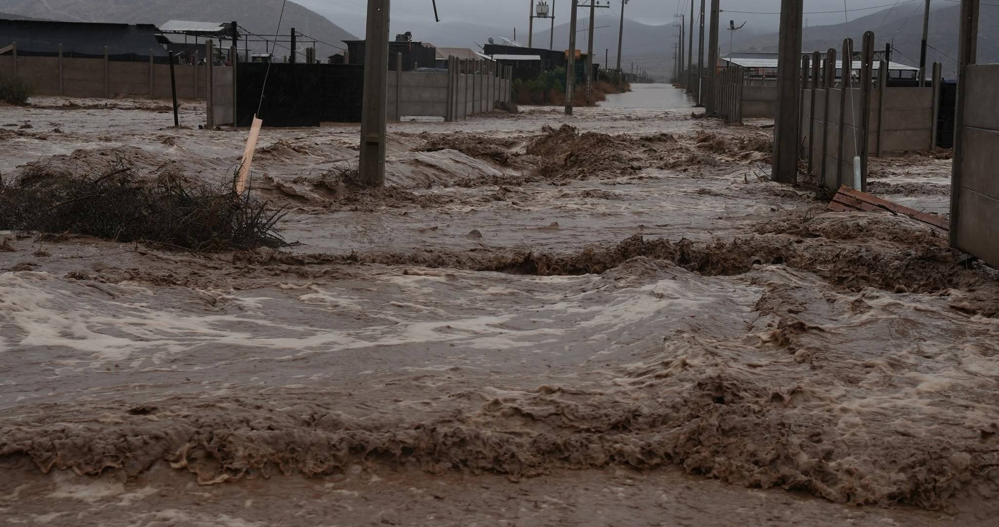 Fotografía de contexto | Municipalidad de Coquimbo