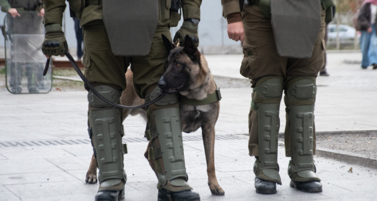 Siguen matando carabineros Comisión aplaza votación de proyecto “Naín Retamal 2.0” tras indicaciones
