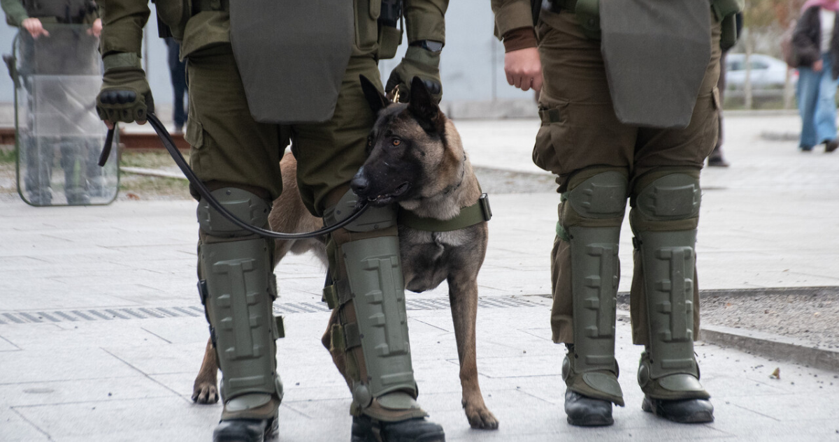 Siguen matando carabineros Comisión aplaza votación de proyecto “Naín Retamal 2.0” tras indicaciones