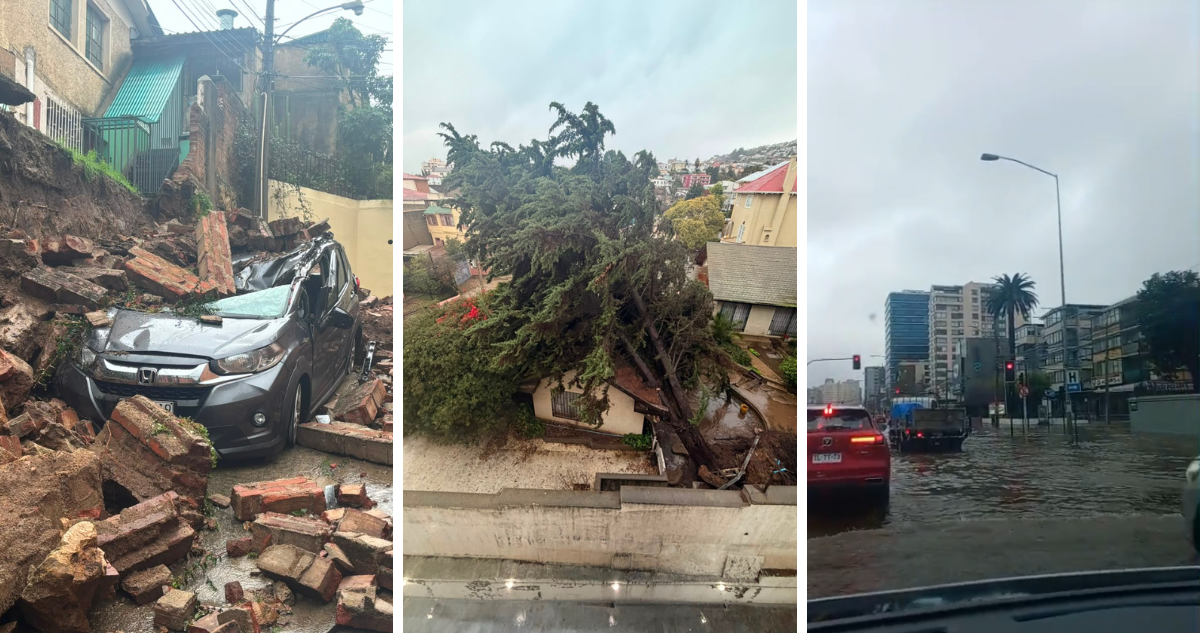 Región de Valparaíso: árbol sobre una casa, caída de muro e inundación de calles deja sistema frontal