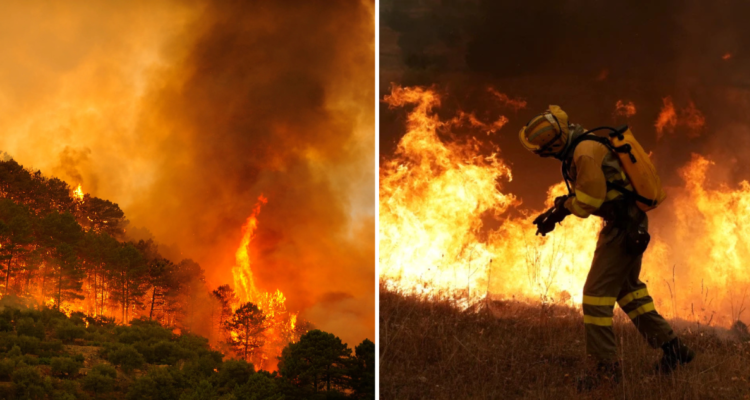 Nueva ola de calor extremo amenaza con empeorar incendios en España: van 171.000 personas evacuadas