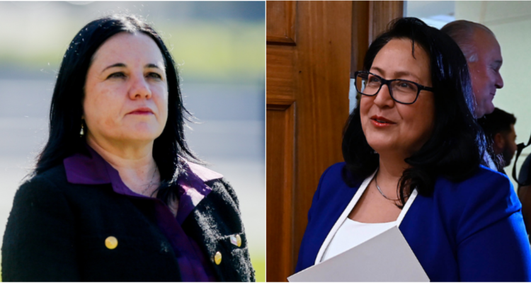 Steinert arremete contra Dorothy Pérez: pide anular dictamen de CGR y acusa graves errores jurídicos