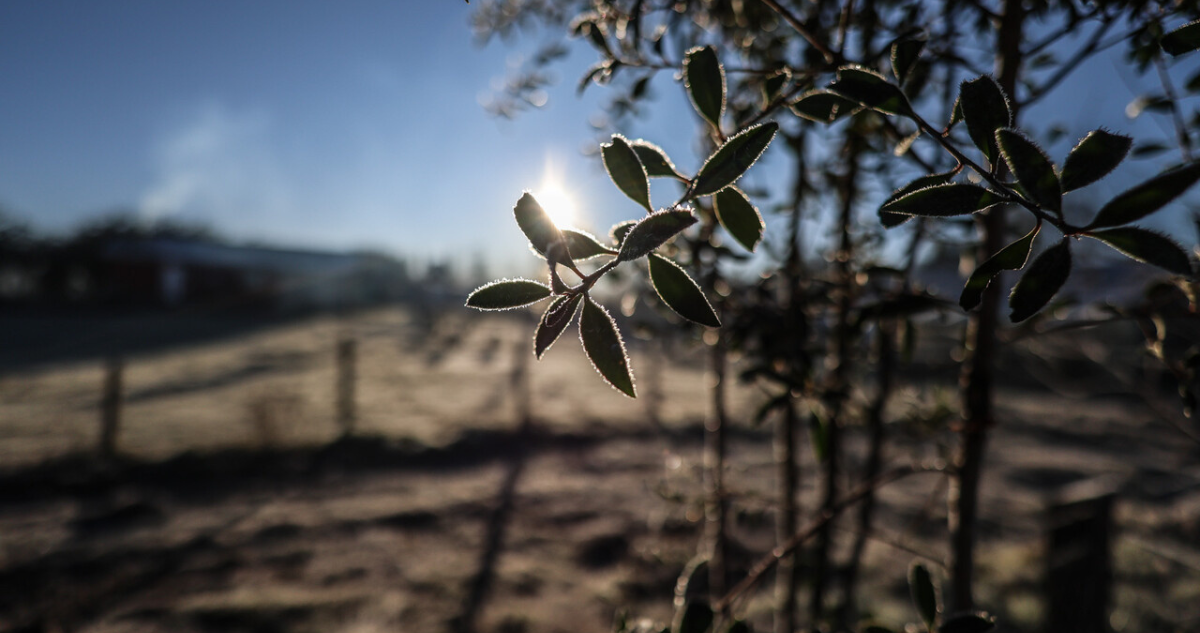 Temperaturas caerán hasta los -4°C: emiten aviso por heladas para seis regiones del país