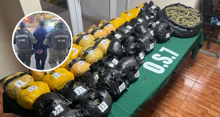 https://media.biobiochile.cl/wp-content/uploads/2026/07/temuco-1-750x400.png