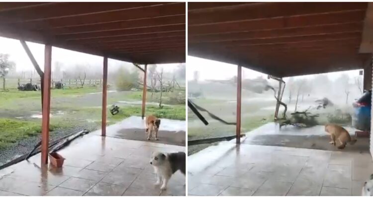 Tornado en Chillán Viejo