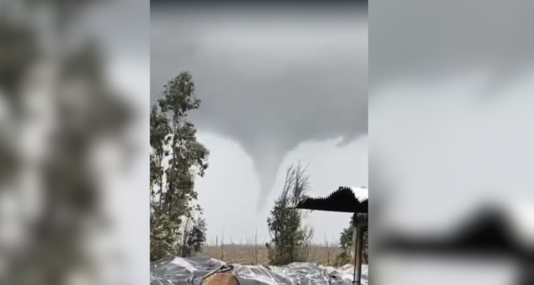 https://media.biobiochile.cl/wp-content/uploads/2026/07/tornado-750x400.png