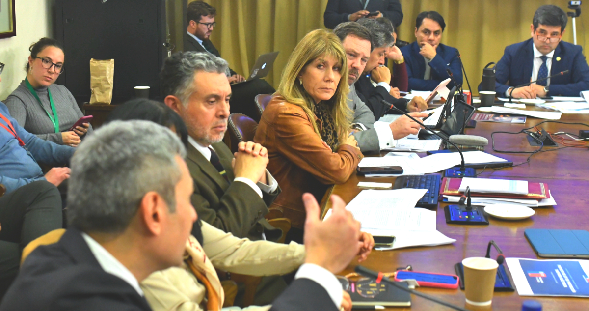 Tras 5 horas de debate, Comisión de Minería aprueba proyecto que extiende subsidio eléctrico