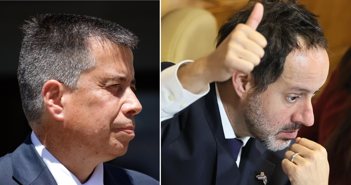Urruticoechea (PNL) no se resigna a freno de Celis (RN) a proyecto de latidos: “Puede salvar una vida”