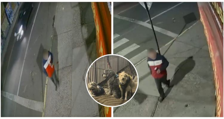 https://media.biobiochile.cl/wp-content/uploads/2026/07/video-inculpa-a-chofer-que-abandono-tres-perros-en-santiago-fue-grabado-huyendo-con-lata-en-la-mano-750x400.png