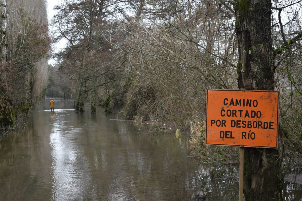 Desborde del río Bueno obliga a declarar Alerta Roja para San Pablo: más de 80 familias aisladas
