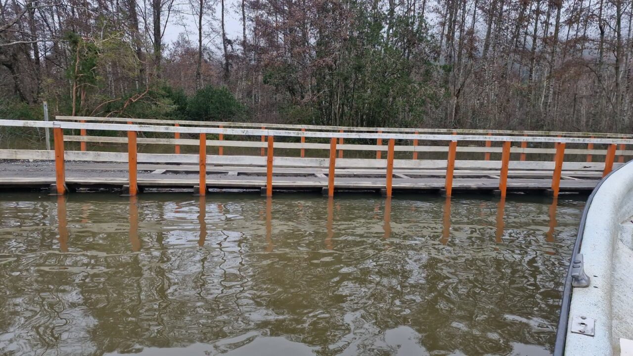 Desborde del río Bueno obliga a declarar Alerta Roja para San Pablo: más de 80 familias aisladas
