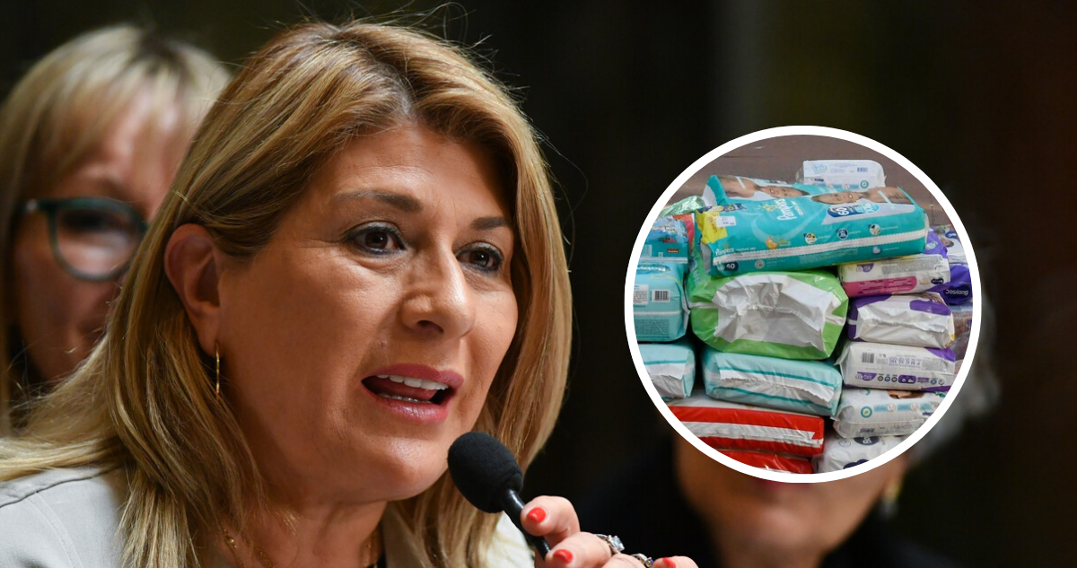 Diputada Parisi califica de insuficiente rebaja de IVA en pañales