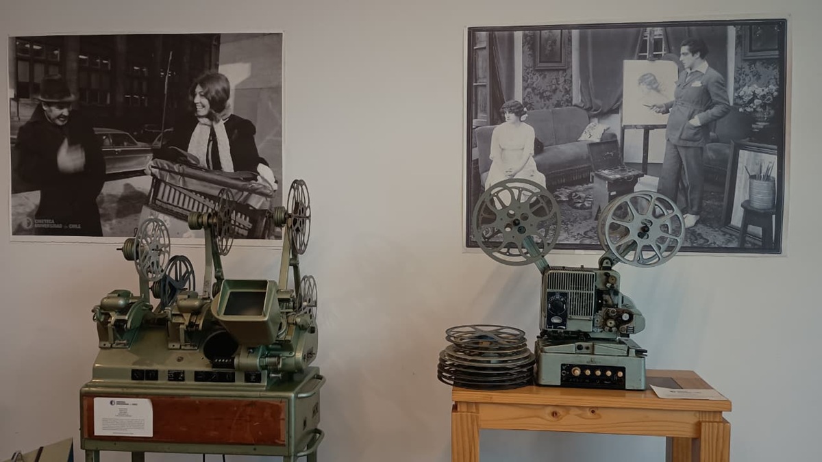 visita mediada cineteca