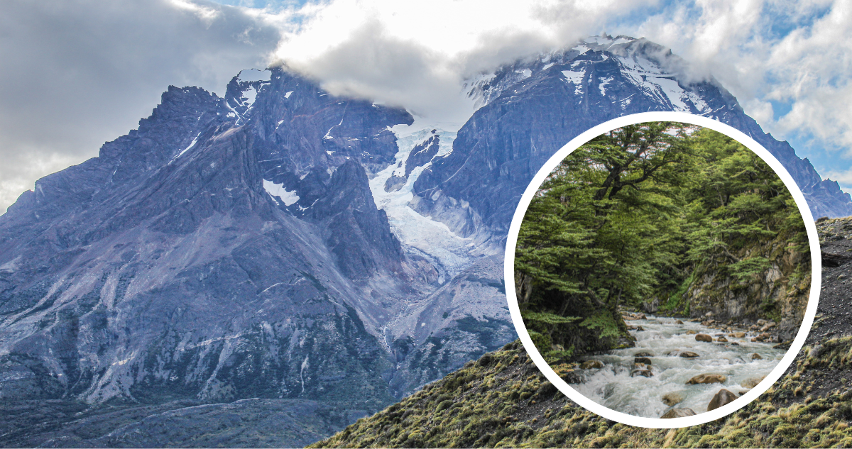Parque Nacional Torres del Paine