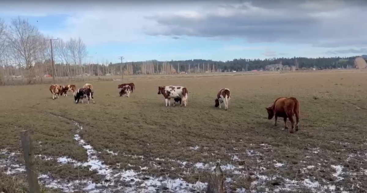 https://media.biobiochile.cl/wp-content/uploads/2026/08/agricultores-afectados-araucania-.jpg