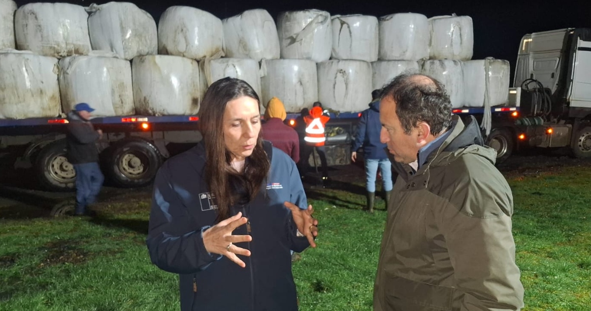 Agricultores afectados por sistema frontal en La Araucanía