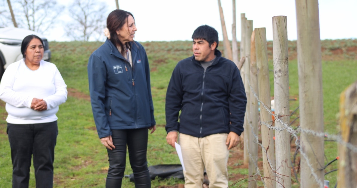 Agricultores afectados por sistema frontal en La Araucanía