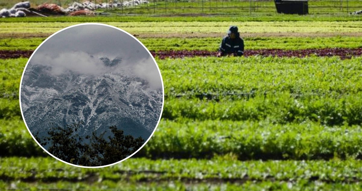 Agricultores de Bío Bío temen falta de agua para riego del verano por poca acumulación de nieve
