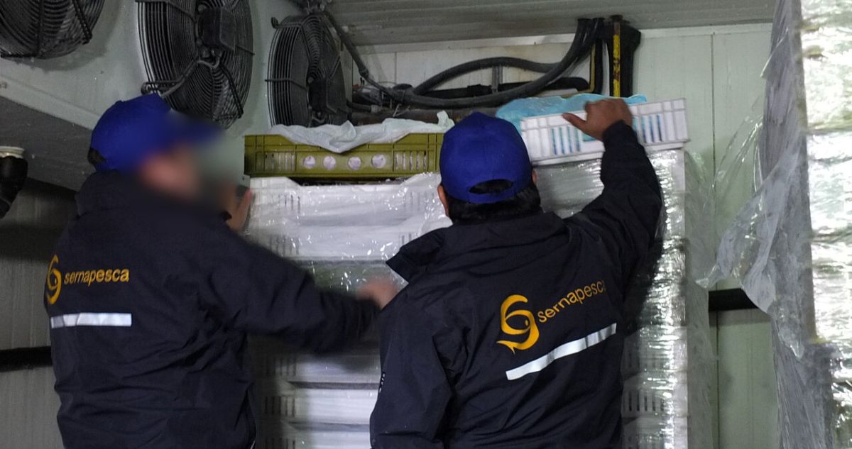 ANEF denuncia irregularidades en sumario por presunto acoso laboral en Sernapesca en Los Ríos