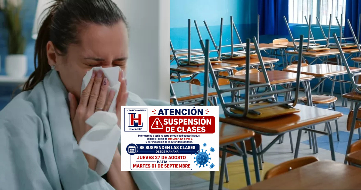 Brote habría iniciado en un colegio: Confirman 203 casos de influenza y suspenden clases en Hualaihué