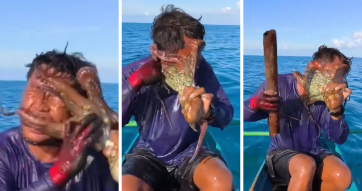 Ataque de un pulpo