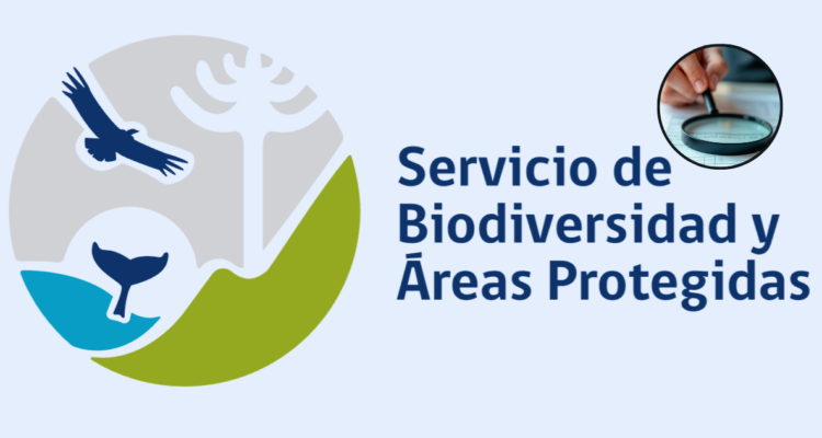 Auditoría detecta graves irregularidades en consulta indígena del Servicio de Biodiversidad