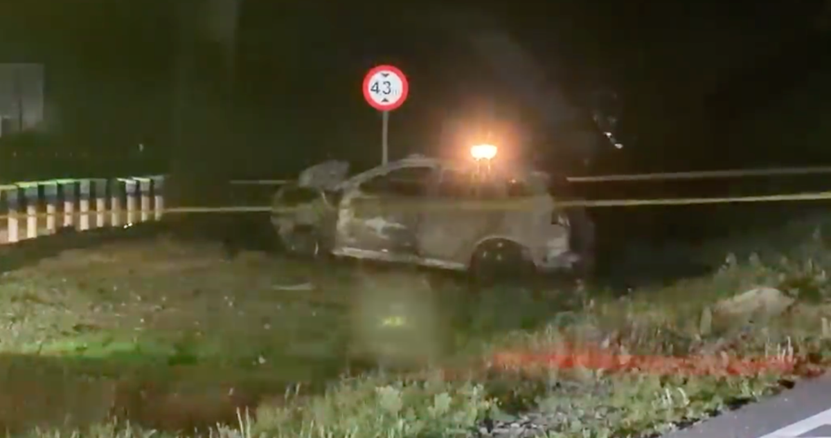 Conductor muere calcinado en la Ruta 78: vehículo se incendió tras chocar con una palmera