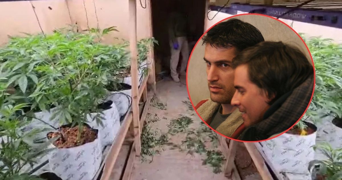“Operación Yingo”: Cuando Camilo Huerta fue detenido por sus plantas de marihuana con Felix Soumastre