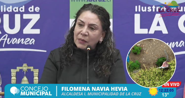 Se siente como vivir abuso sexual infantil: El descargo de alcaldesa de La Cruz por audio filtrado
