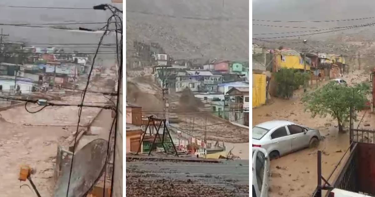 Capturas de video