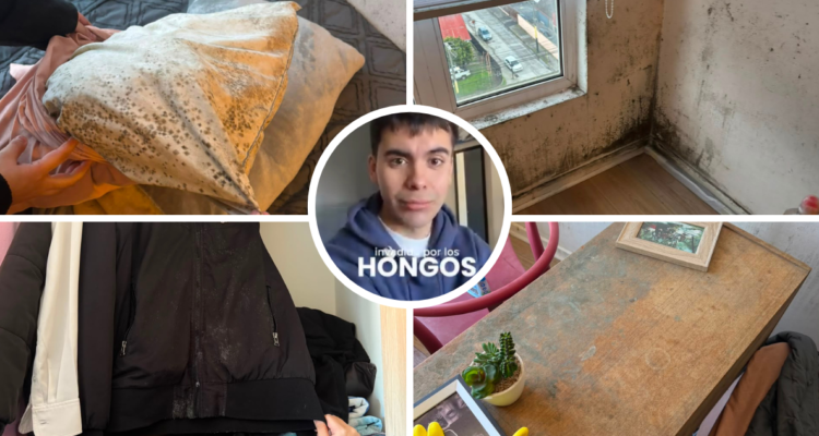 Caso de hongos en Concepción
