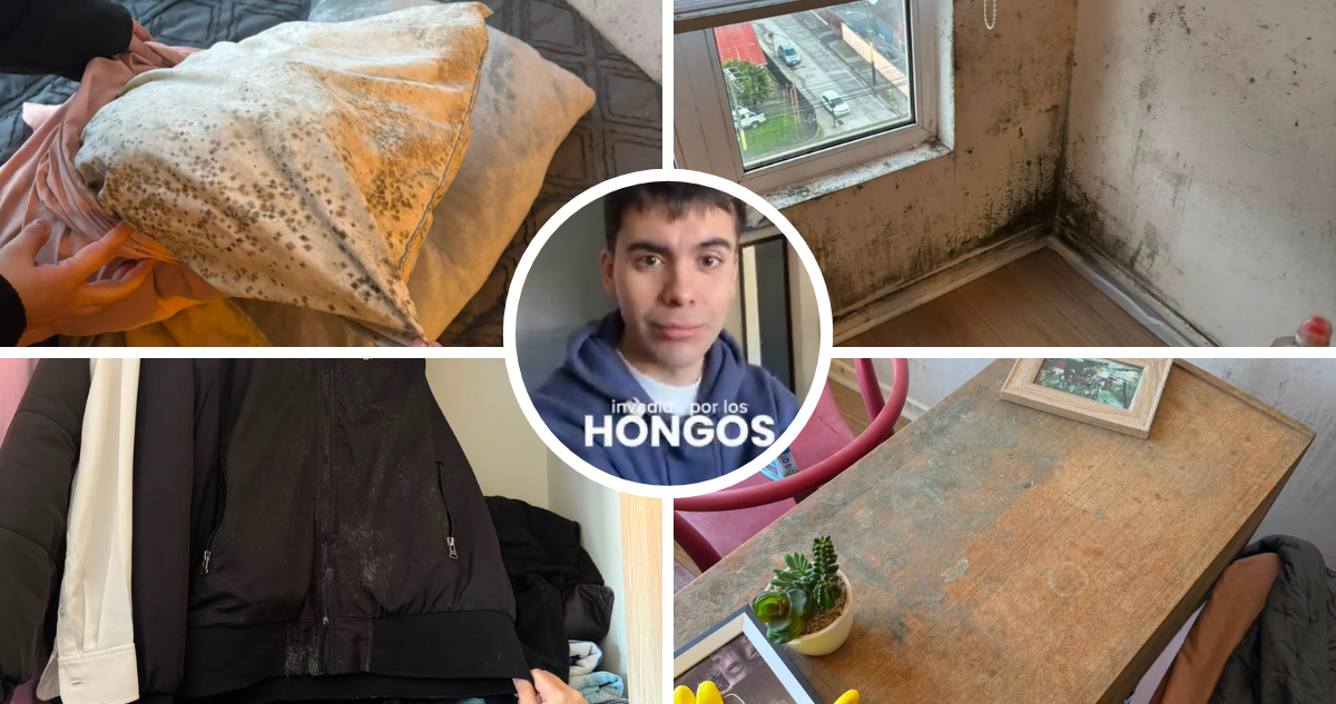 Caso de hongos en Concepción