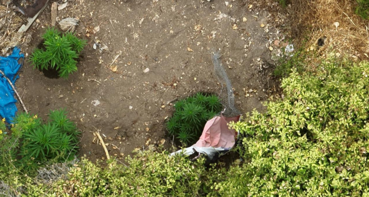 "Mi rol no es perseguir delincuencia": Filtran charla de alcaldesa de La Cruz por sitio con marihuana