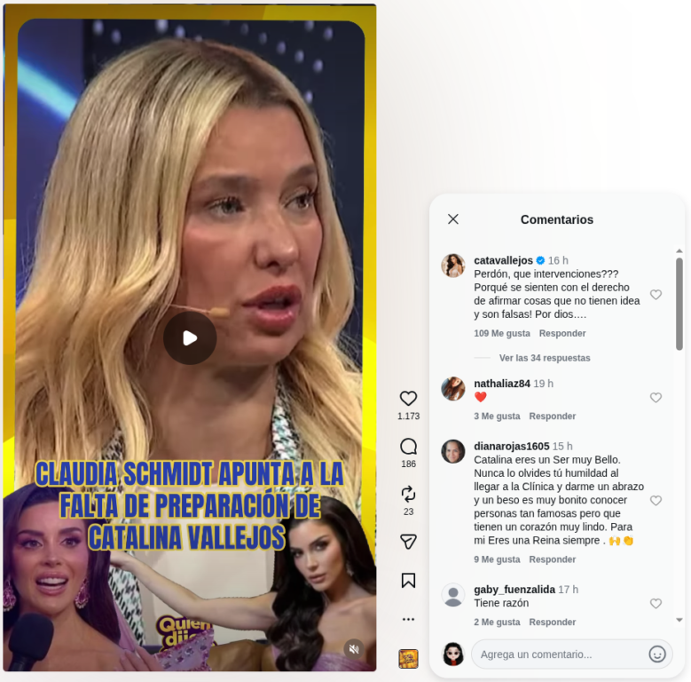 Respuesta de Cata Vallejos a Claudia Schmidt por supuestas intervenciones